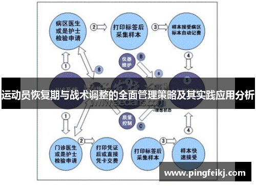 运动员恢复期与战术调整的全面管理策略及其实践应用分析