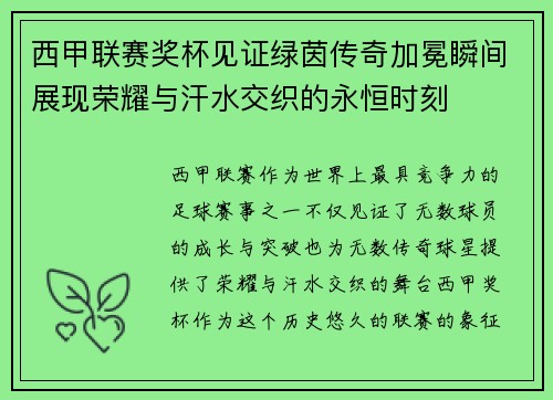 西甲联赛奖杯见证绿茵传奇加冕瞬间展现荣耀与汗水交织的永恒时刻