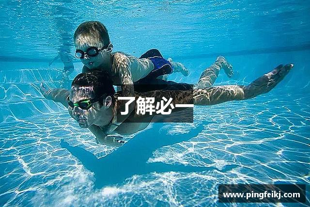 了解必一